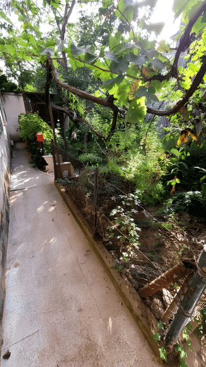 Vente Villa Alger El Biar-3
