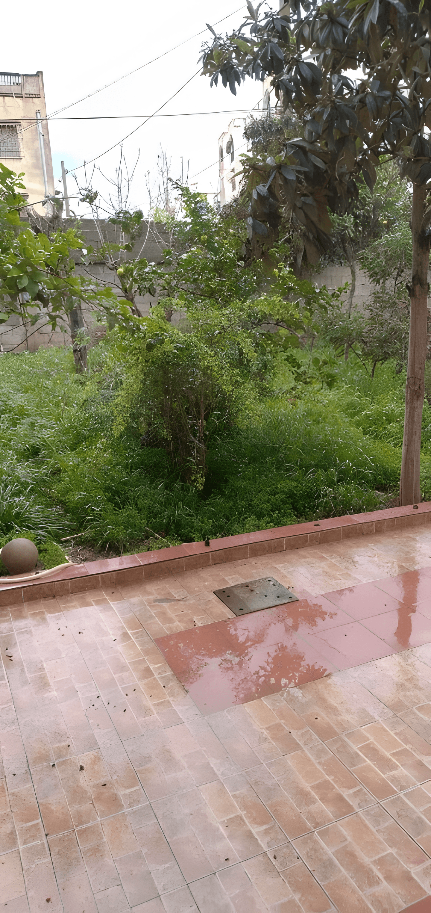 Vente Villa Alger Bordj El Kiffan